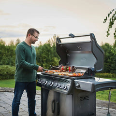 Napoleon BBQ - Rogue - ambiento.ch
