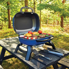 Napoleon BBQ - TravelQ - ambiento.ch