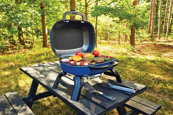 Napoleon BBQ - TravelQ - ambiento.ch