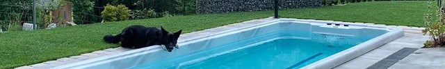 Swim Spa